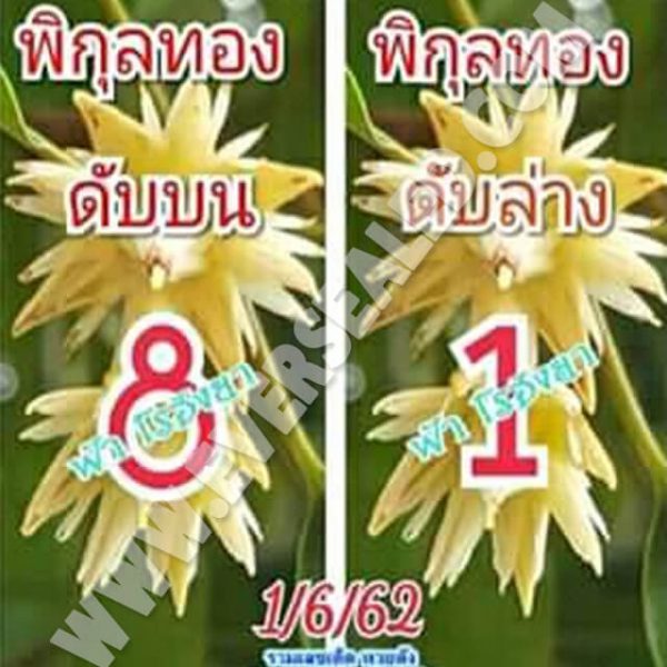 เลขดับพิกุลทอง 1/6/62