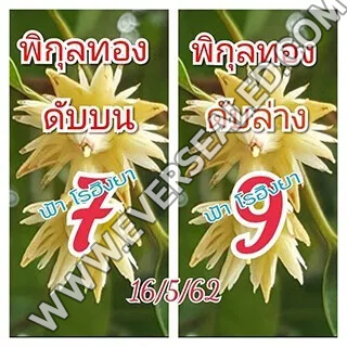 เลขดับพิกุลทอง 16/5/62