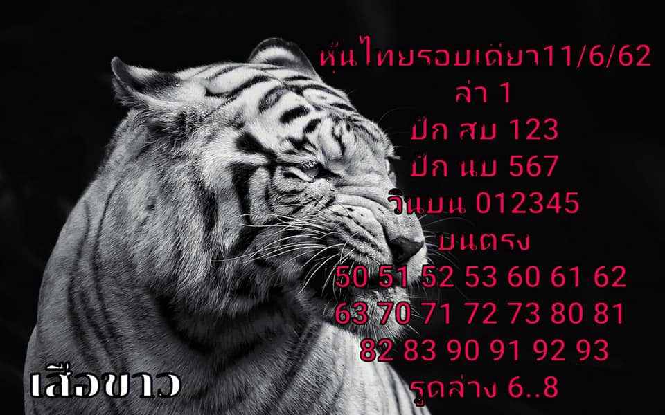 หวยหุ้นไทย 11/6/62 9