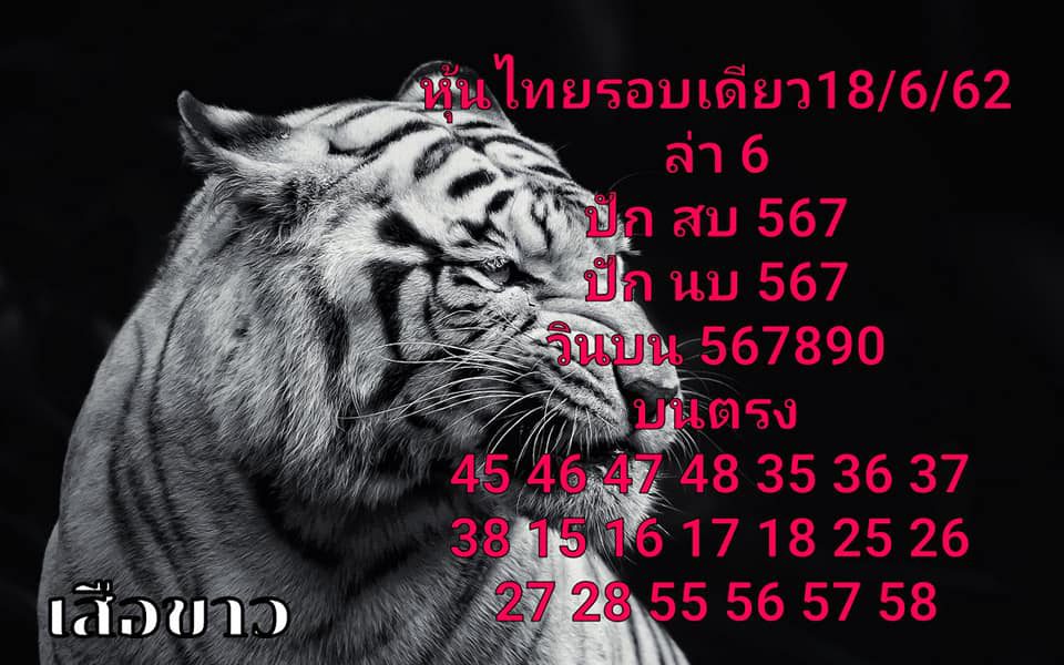 หวยหุ้น 18/6/62 รูปที่ 8