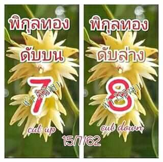เลขดับพิกุลทอง 15/7/62