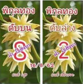เลขดับพิกุลทอง 16/8/62