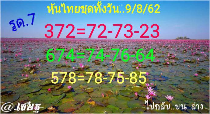 แนวทางหวยหุ้น 9/8/62 ชุดที่ 11