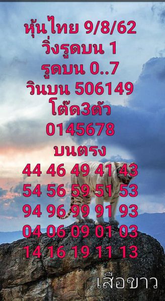 แนวทางหวยหุ้น 9/8/62 ชุดที่ 3