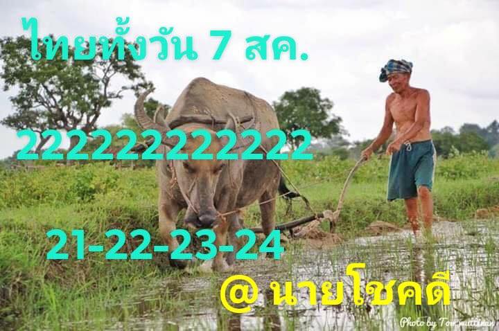 เลขเด็ดหุ้นไทย 7/8/62 ชุดที่ 12