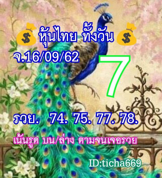 หวยหุ้นวันนี้ 16/9/62 ชุดที่ 11