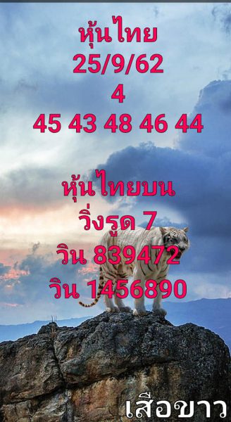 หวยหุ้นวันนี้ 25/9/62 ชุดที่1