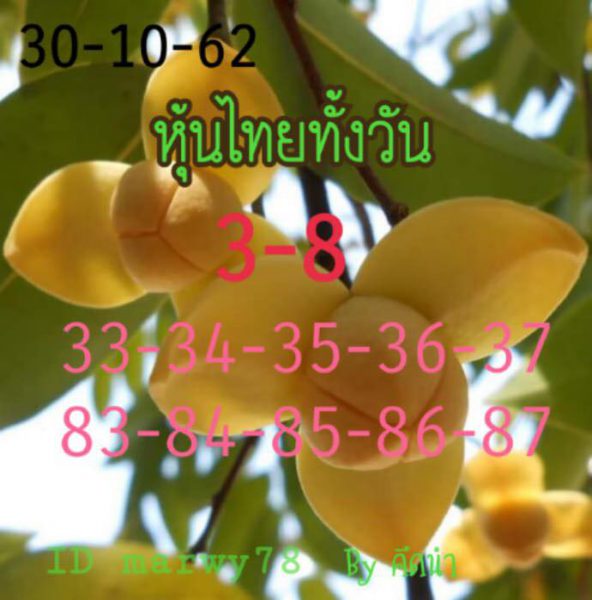 หวยหุ้นวันนี้ 30/9/62 ชุดที่7