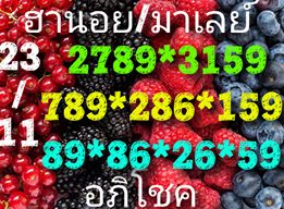 หวยมาเลย์วันนี้ 23/11/62 ชุดที่6