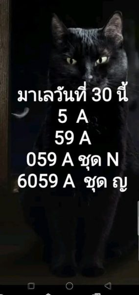 หวยมาเลย์วันนี้ 30/11/62 ชุดที่4