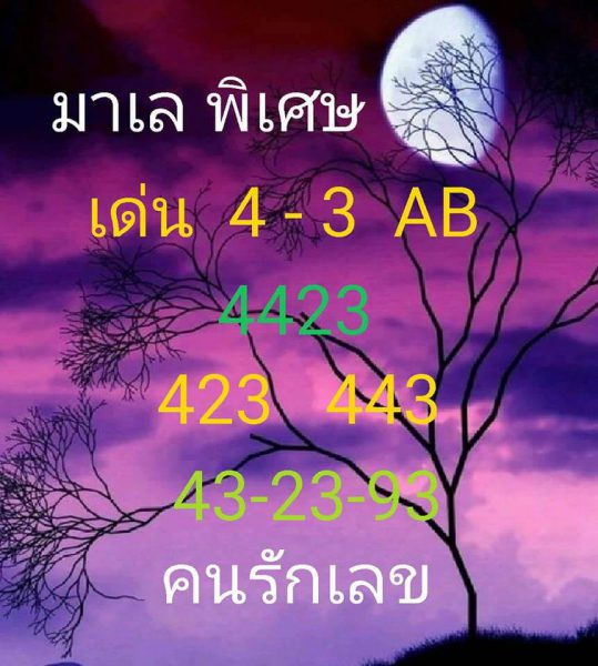 หวยมาเลย์วันนี้ 6/11/62 ชุดที่12