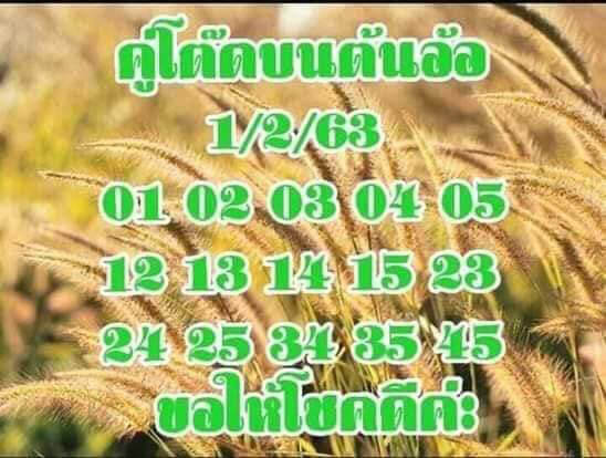 หวยคู่โต๊ดบนต้นอ้อ 1/2/63