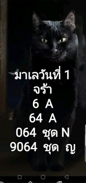 หวยมาเลย์วันนี้ 1/12/62 ชุดที่1