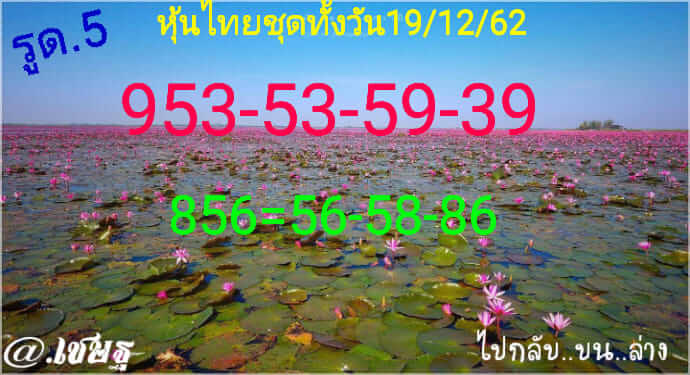 หวยหุ้นวันนี้ 19/12/62 ชุดที่1