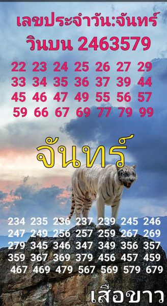 หวยหุ้นวันนี้ 2/12/62 ชุดที่1