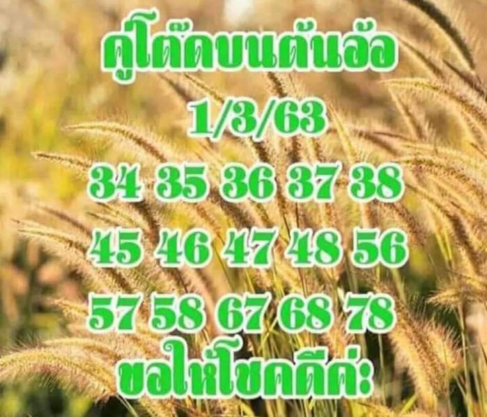 หวยคู่โต๊ดบนต้นอ้อ 1/3/63