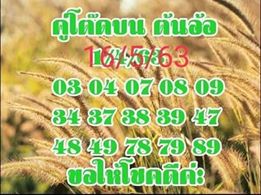 หวยคู่โต๊ดบนต้นอ้อ 16/5/63