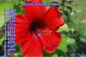เลขดับ 1/3/63 ชุดที่ 11