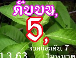 เลขดับ 1/3/63 ชุดที่ 16