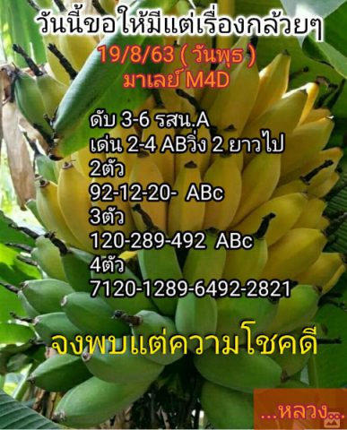 หวยมาเลย์วันนี้ 19/8/63 ชุดที่ 6