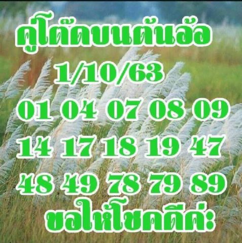 หวยคู่โต๊ดบนต้นอ้อ 1/10/63