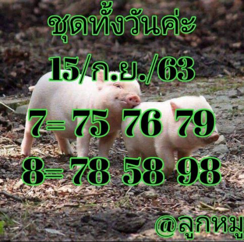 หวยหุ้นวันนี้ 15/9/63 ชุดที่ 1