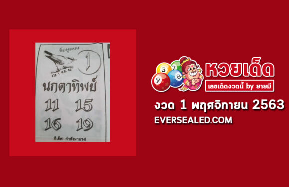 หวยนกตาทิพย์ 1/11/63
