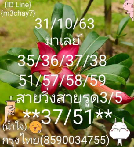 หวยมาเลย์วันนี้ 31/10/63 ชุดที่ 1