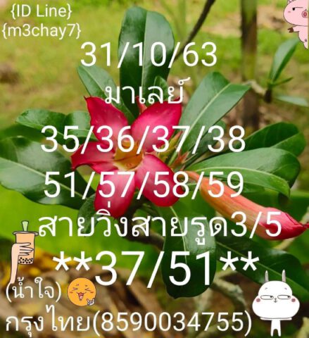 หวยมาเลย์วันนี้ 31/10/63 ชุดที่ 1