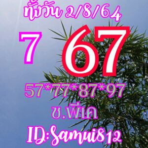 หวยหุ้นวันนี้ 2/8/64 ชุดที่ 2