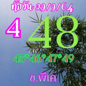 หวยหุ้นวันนี้ 29/9/64 ชุดที่ 8