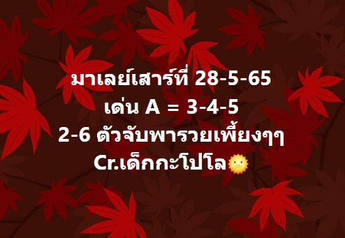 หวยมาเลย์วันนี้ 28/5/65 ชุดที่ 4