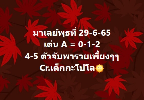 หวยมาเลย์วันนี้ 29/6/65 ชุดที่ 4