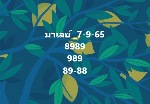 หวยมาเลย์วันนี้ 7/9/65 ชุดที่ 3