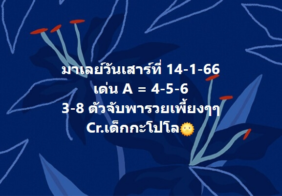 หวยมาเลย์วันนี้ 14/1/66 ชุดที่ 4