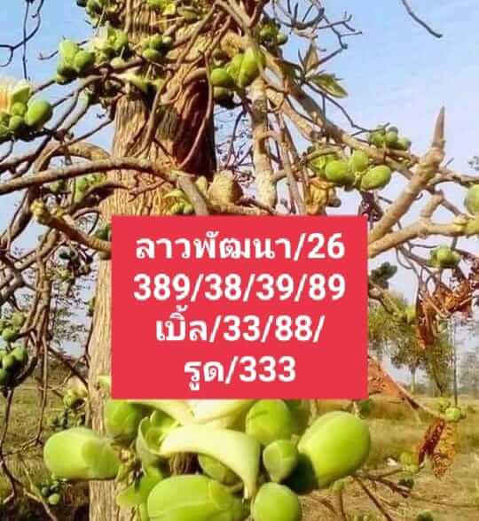 หวยลาววันนี้ 26/5/66 ชุดที่ 10