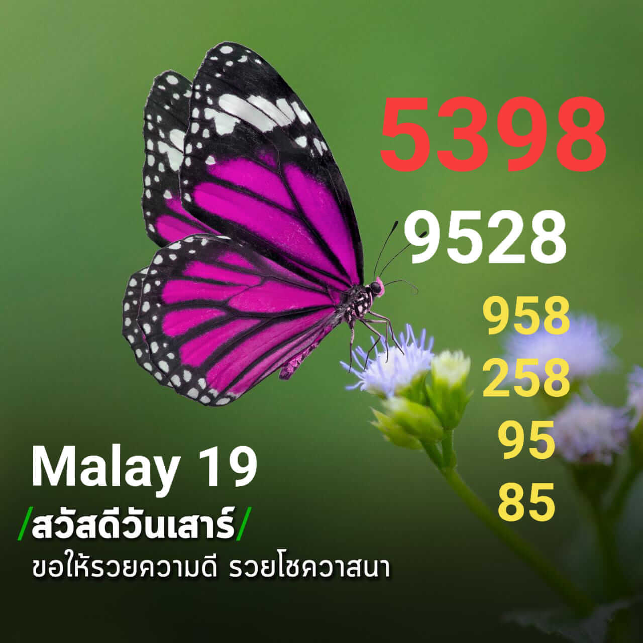 หวยมาเลย์วันนี้ 19/8/66 ชุดที่ 1