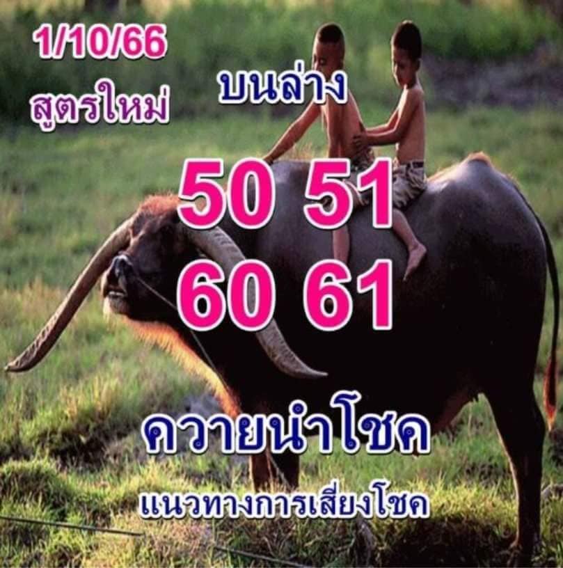 หวยควายนำโชค 1/10/66