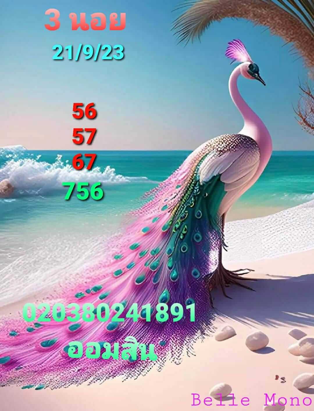 หวยฮานอยวันนี้ 21/9/66 ชุดที่ 1