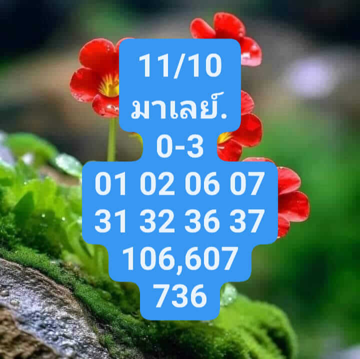 หวยมาเลย์วันนี้ 11/10/66 ชุดที่ 6