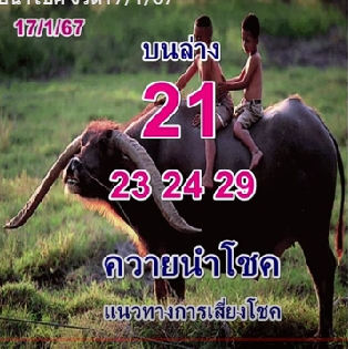 หวยควายนำโชค 17/1/67