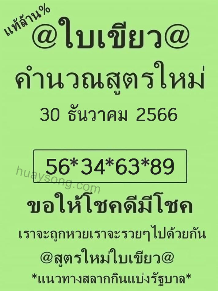 หวยใบเขียว 30/12/66