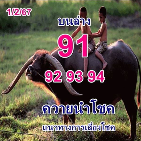 หวยควายนำโชค 1/2/67