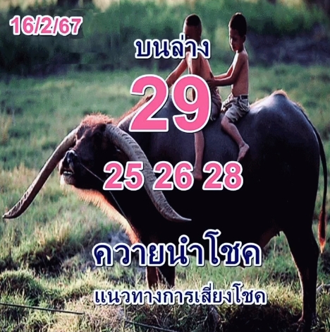 หวยควายนำโชค 16/2/67