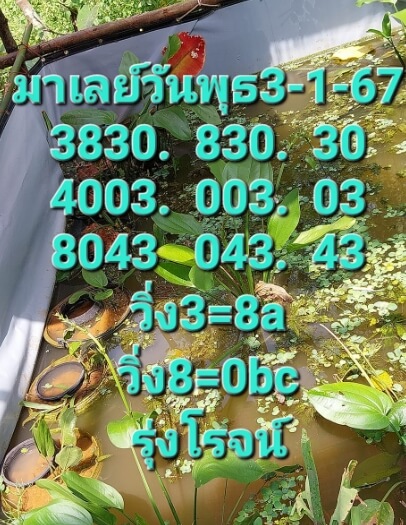 หวยมาเลย์วันนี้ 3/1/67 ชุดที่ 4