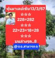 หวยมาเลย์วันนี้ 13/3/67 ชุดที่ 1